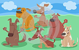 Funny cartoon dogs animal characters group