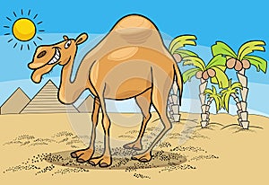 Funny cartoon dromedary camel in the desert