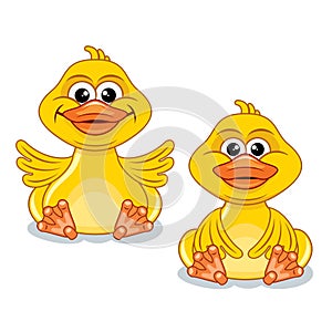 Funny Cartoon Duck