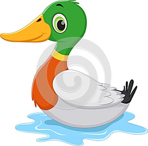 Funny Cartoon duck swimming