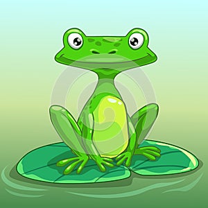 Funny cartoon frog