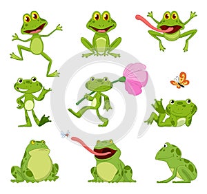 Funny cartoon frog collection. Little amphibian characters sitting and jumping on white background. Adorable froggys
