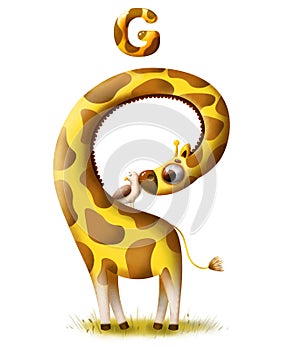 Funny cartoon giraffe with a bird and a letter of the alphabet