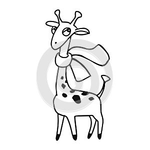 Funny cartoon giraffe with scarf. Black and white vector hand drawn illustration for coloring book