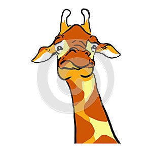Funny Cartoon Grimace giraffe. Giraffe emotions