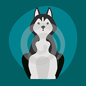 Funny cartoon huskies dog character black white bread illustration in cartoon happy puppy and friendly mammal adorable