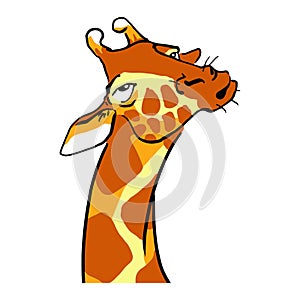 Funny Cartoon Ignorant giraffe. Giraffe emotions photo