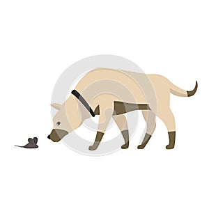 Funny cartoon little dog sniffs the mouse, vector illustration, isolated on white.