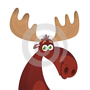 Funny cartoon moose head. Illustration isolated