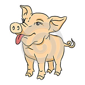 Funny cartoon pig. Isolated 2D illustration