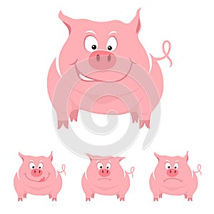 Funny cartoon pig with various emotions