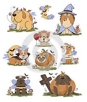 Funny cartoon poro dogs in halloween costumes. Scary funny character for halloween. Vector illustration of pets