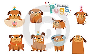 Funny cartoon pugs and design elements