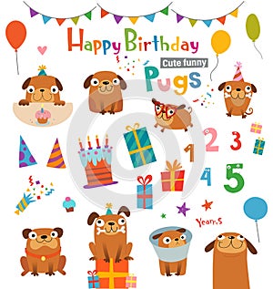 Funny cartoon pugs and design elements for birthday card