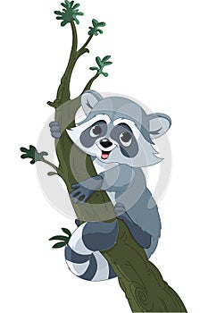 Funny cartoon raccoon on the tree