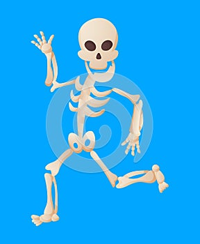 Funny cartoon skeleton posing while running. Vector bony character. Human bones illustration skeletal. Dead man on color