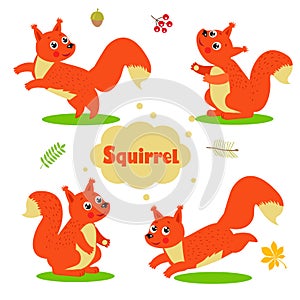 Funny Cartoon Squirrel Characters Set. Welcome Baby.