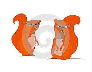 Funny cartoon squirrels