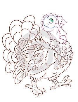 funny cartoon turkey mascot design isolated