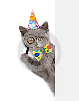 Funny cat in birthday hat looks thru a magnifying lens. Isolated on white background