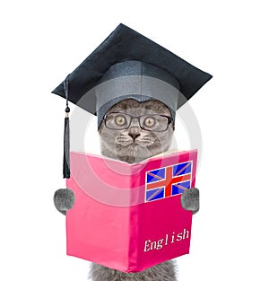 Funny cat with black graduation hat holding an English textbook