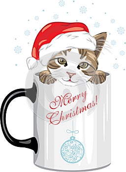 Funny cat in a Christmas hat peeking out of a mug