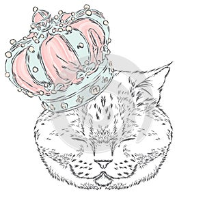 Funny cat in the crown. Vector illustration for a card or poster. Prints on the clothes or accessories.