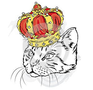 Funny cat in the crown. Vector illustration for a card or poster. Prints on the clothes or accessories.