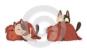 Funny Cat and Dog Best Friend Buddy up with Each Other Vector Set