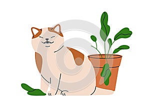 Funny cat eating leaf plant in pot. Cute naughty kitty chewing leaves, houseplant. Amusing playful evil feline animal