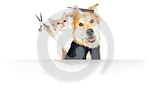 Funny Cat Grooming Dog Web Banner photo