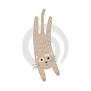 Funny cat isolated element. Jumping feline character for kids design