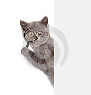 Funny cat looks thru a magnifying lens. Isolated on white background