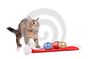 funny cat with New Year& x27;s toys isolated on white