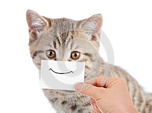 Funny cat portrait with smile on cardboard