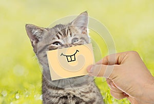 Funny cat portrait with smile on green grass outdoor