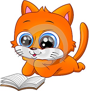 Funny cat reading book on white background