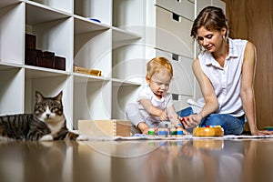 Funny cat relaxing mother and little toddler playing together self study of child Montessori method
