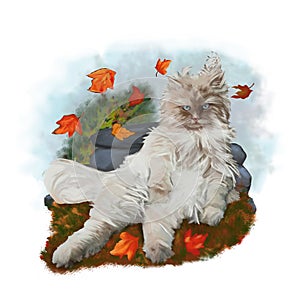 Funny cat sitting in the wind. Painting