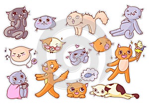 Funny cat sticker with humorous expression set