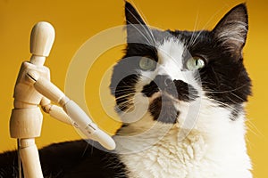 Funny cat and toy man. Yellow background. Pet-human interaction concept. The owner through the eyes of a cat. Selective focusing