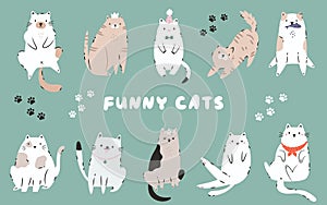 Funny Cat Vector Illustrations. Playful and Quirky Feline Characters for Art and Design photo