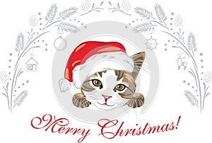 Funny cat wearing Santa hat. Christmas design for postcard