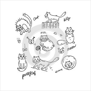 Funny cats set in Doodle style. Cute sketch animal. Doodle element. Simple hand drawn vector sketch illustration