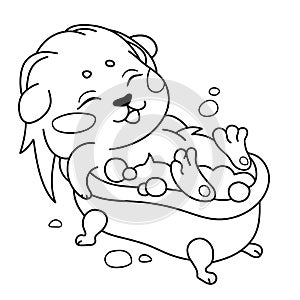 Funny cavy is bathed in a bath with foam - emoticon relaxation, holiday emoji.