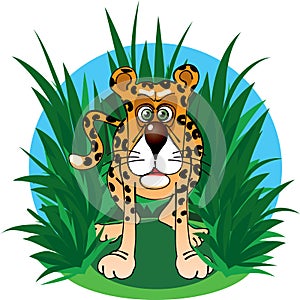 The funny character jaguar in the jungle