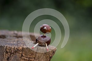 Funny chestnut duck bird with cute face on natural background, traditional autumnal handcraft with children