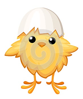 Funny chicken in egg for easter decoration cartoon flat clipart yellow bird in an egg shell illustration on white ba