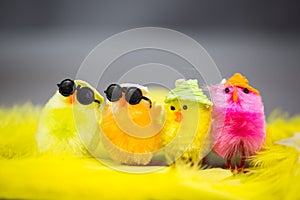 Funny chicks on eastern