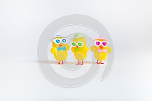 Funny chicks on white background